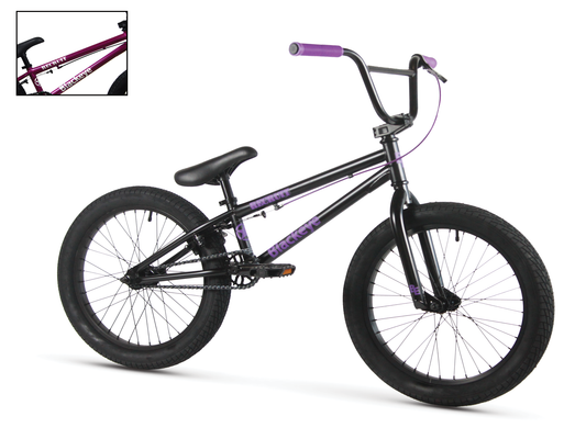 BLACKEYE 20" Recruit Bike